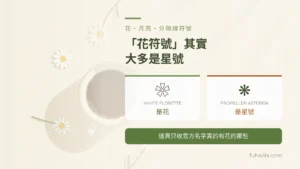 花・月亮・分隔線符號